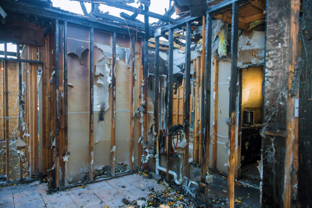Professional Smoke Damage Removal technician working in Pennsburg, PA